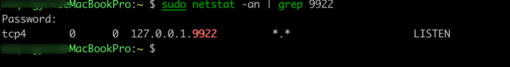 验证9922端口监听状态