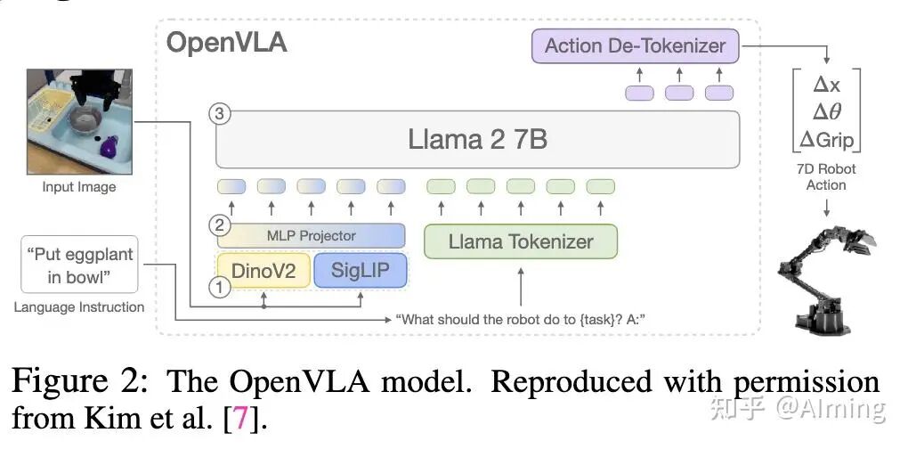 OpenVLA模型架构图