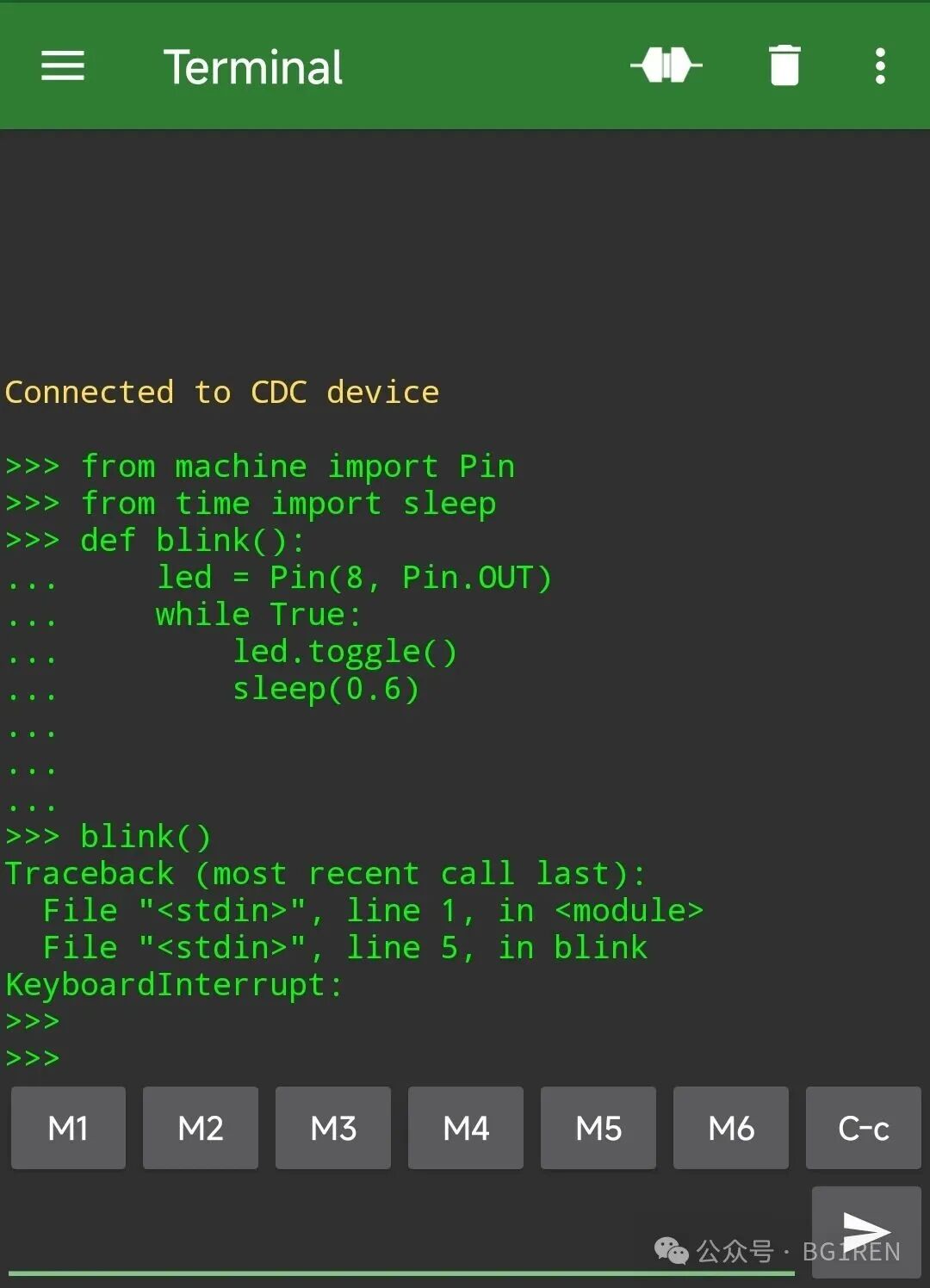 MicroPython REPL终端运行代码示例