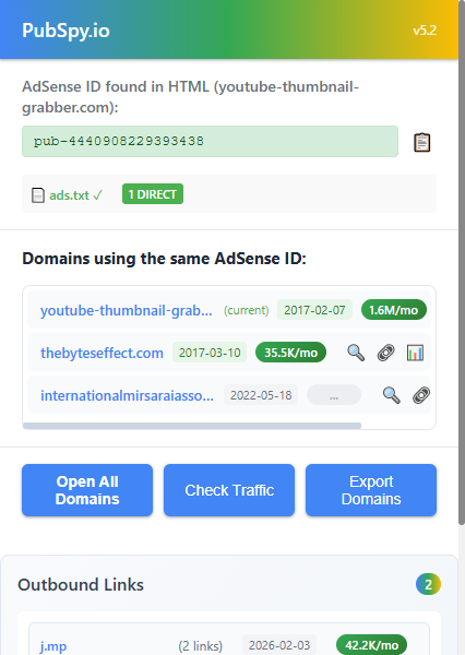 PubSpy.io 工具界面截图，展示了通过 AdSense ID 关联出的多个域名及其月流量数据