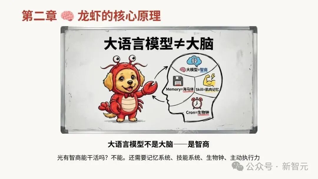 “第二章 龙虾的核心原理”示意图：将大模型、记忆、技能、定时任务类比为大脑组成部分