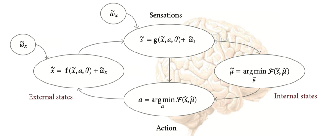 自由能原理认知模型流程图