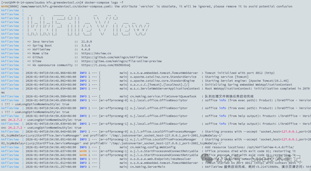 查看kkFileView容器启动日志