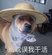 狗子戴草帽表情包别耽误我干活