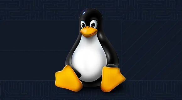 Linux吉祥物企鹅,背景为电路板图案