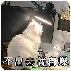 猫望台灯配文‘不出去就自爆’，幽默地比喻系统保护的必要性
