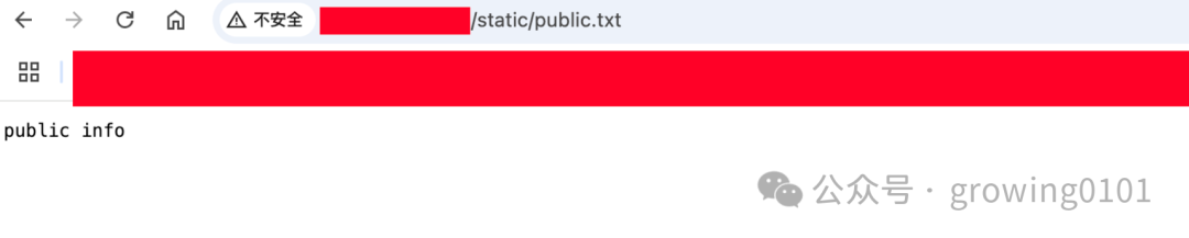 访问公开文件public.txt