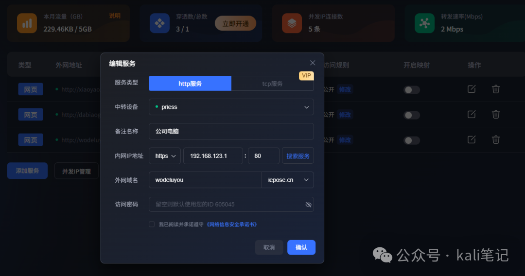 编辑内网穿透服务