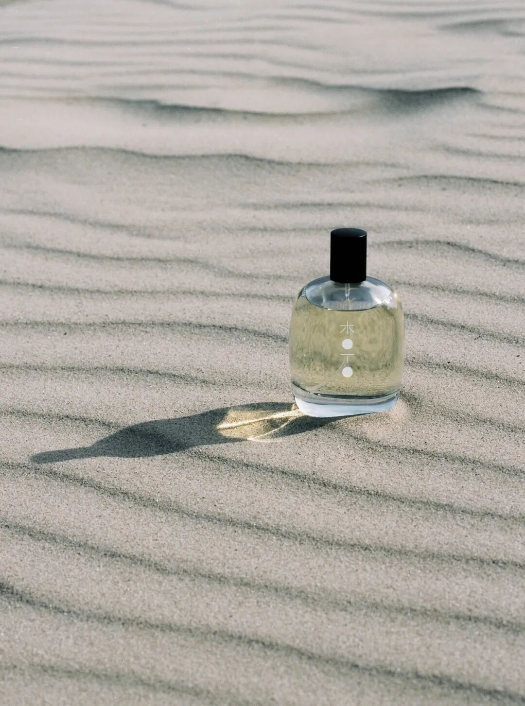 木丁香水瓶置于沙丘