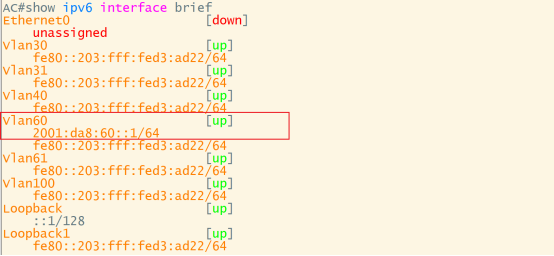 AC交换机show ipv6 interface brief输出,Vlan60接口IPv6地址高亮
