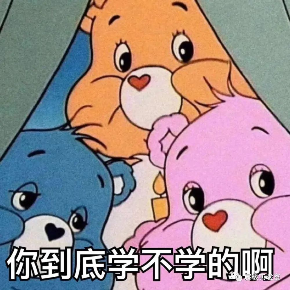 卡通熊表情包配文“你到底学不学的啊”