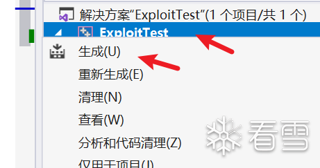 在解决方案资源管理器中生成项目