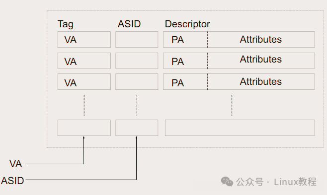 TLB中Tag与ASID关系示意图