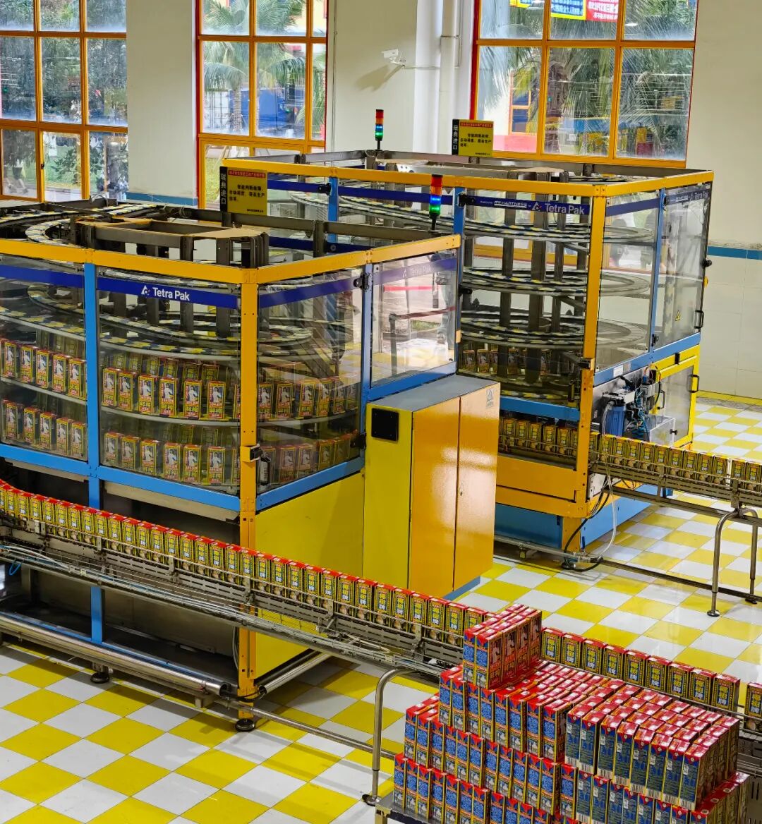 椰树集团自动化包装生产线