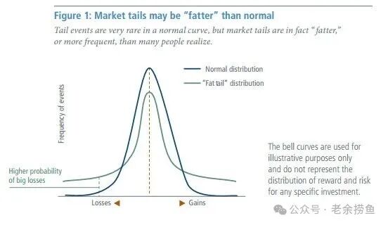 肥尾分布 vs 正态分布——尾部更厚，极端事件概率更高