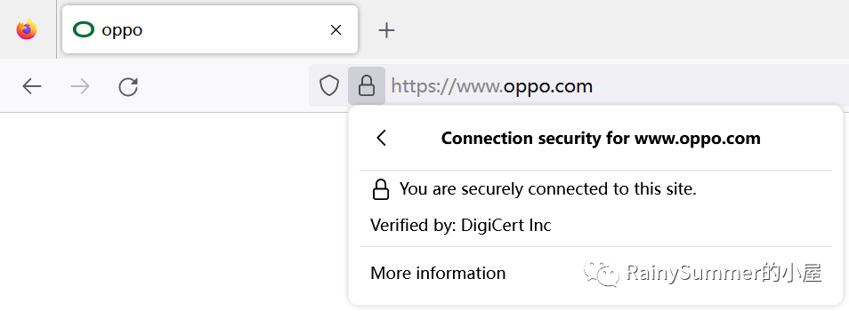 Firefox浏览器地址栏直接显示混淆字符