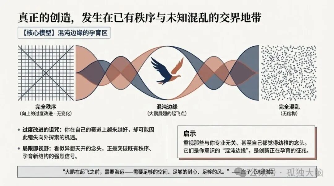 混沌边缘的孕育区模型图