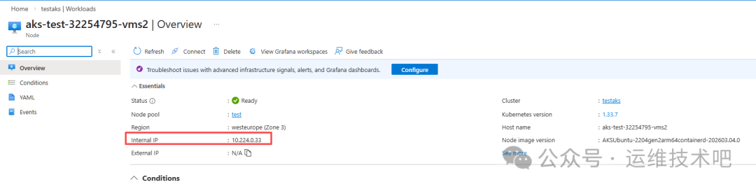 Azure Kubernetes Service (AKS) 服务概览页面截图，显示名为 'aks-test-32254795-vms2' 的集群基本信息。页面包含状态、节点池、区域等概要信息，其中 'Internal IP' 字段被红色框标出，值为 '10.224.0.33'。