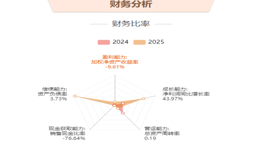 2024与2025年财务比率雷达图