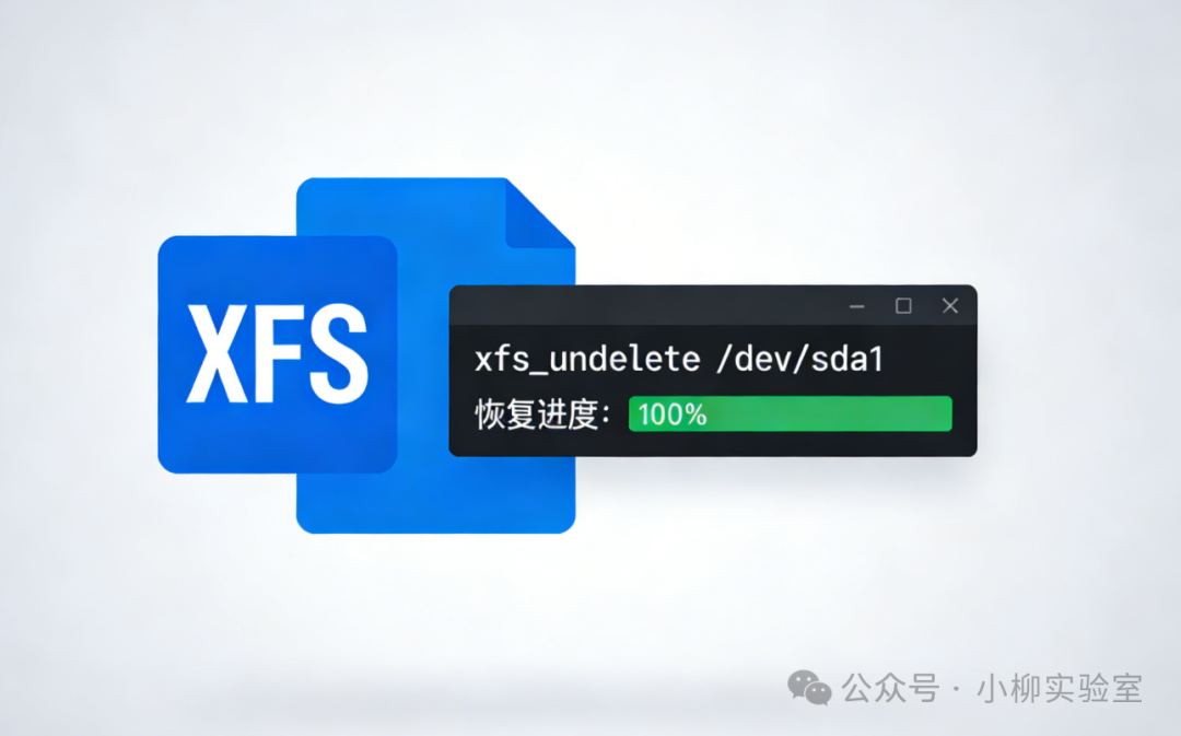 XFS文件恢复工具xfs_undelete运行完成截图
