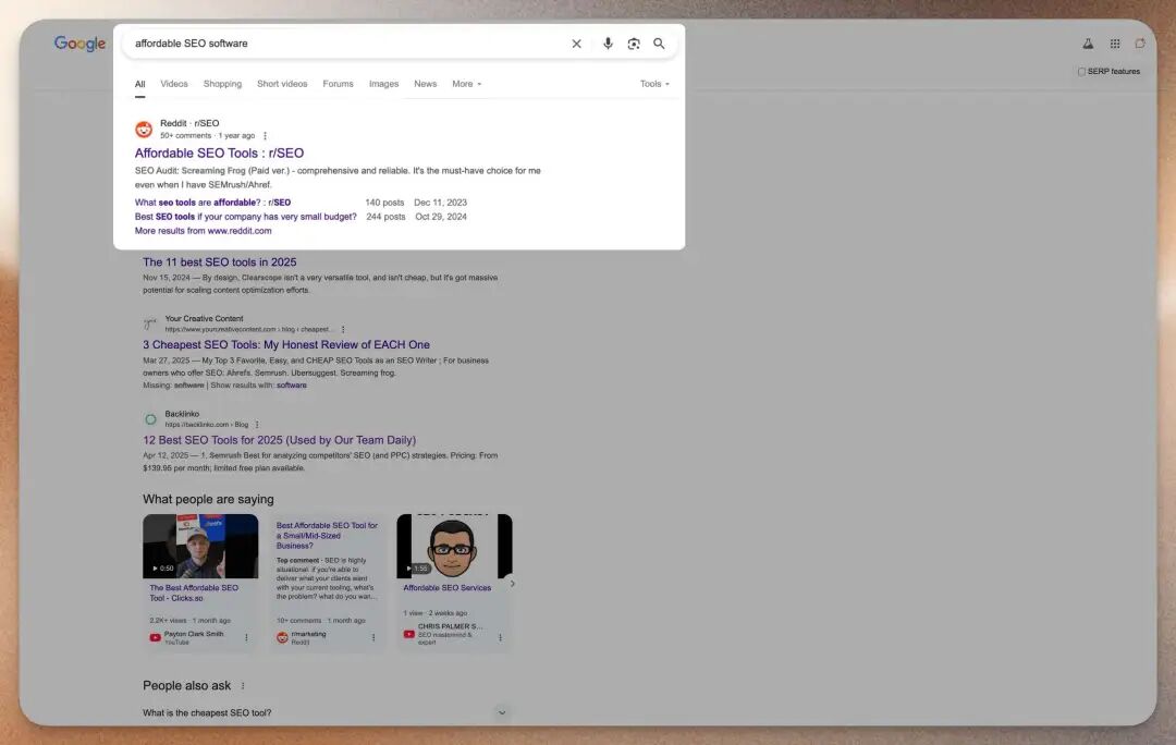 Reddit 帖子占据 Google 搜索结果