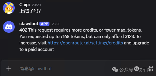 Discord聊天界面显示API额度耗尽错误