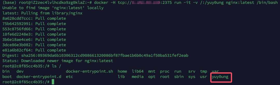 通过远程API创建挂载宿主机根目录的容器