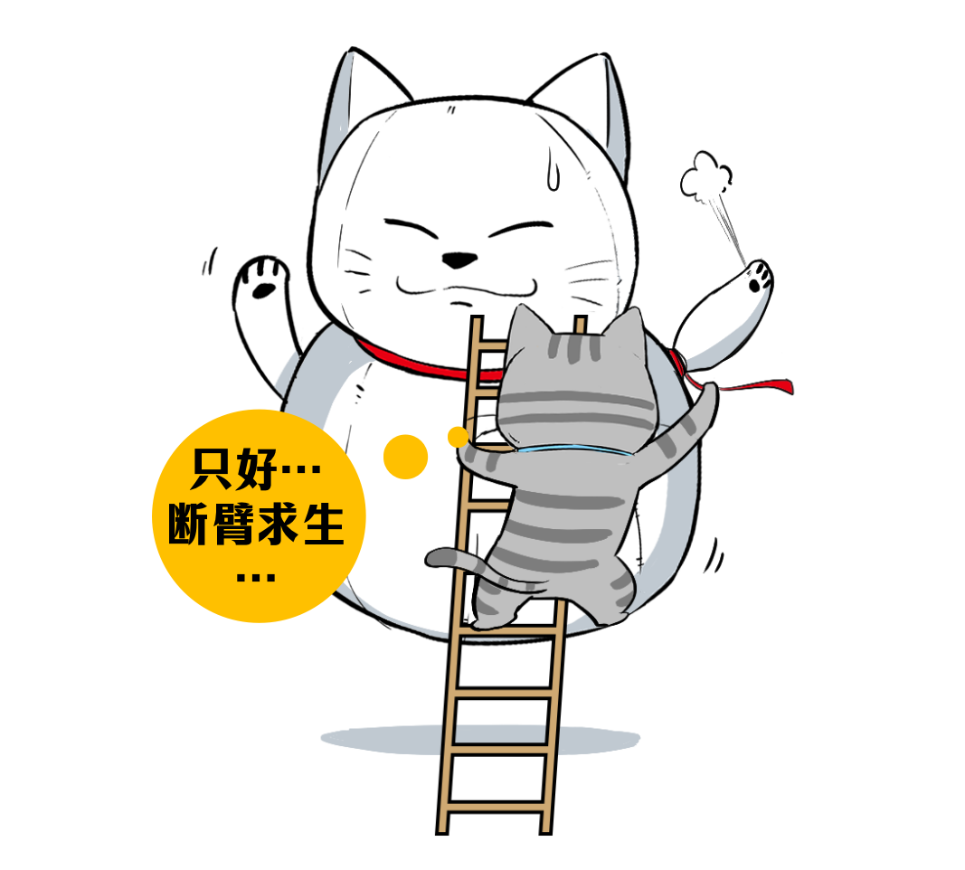 卡通插画：猫攀爬巨型招财猫断臂，配文“断臂求生”