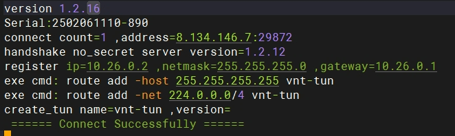 VNT在终端成功启动并显示虚拟IP的截图