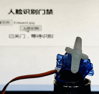 人脸识别门禁系统完整工作流程动态演示