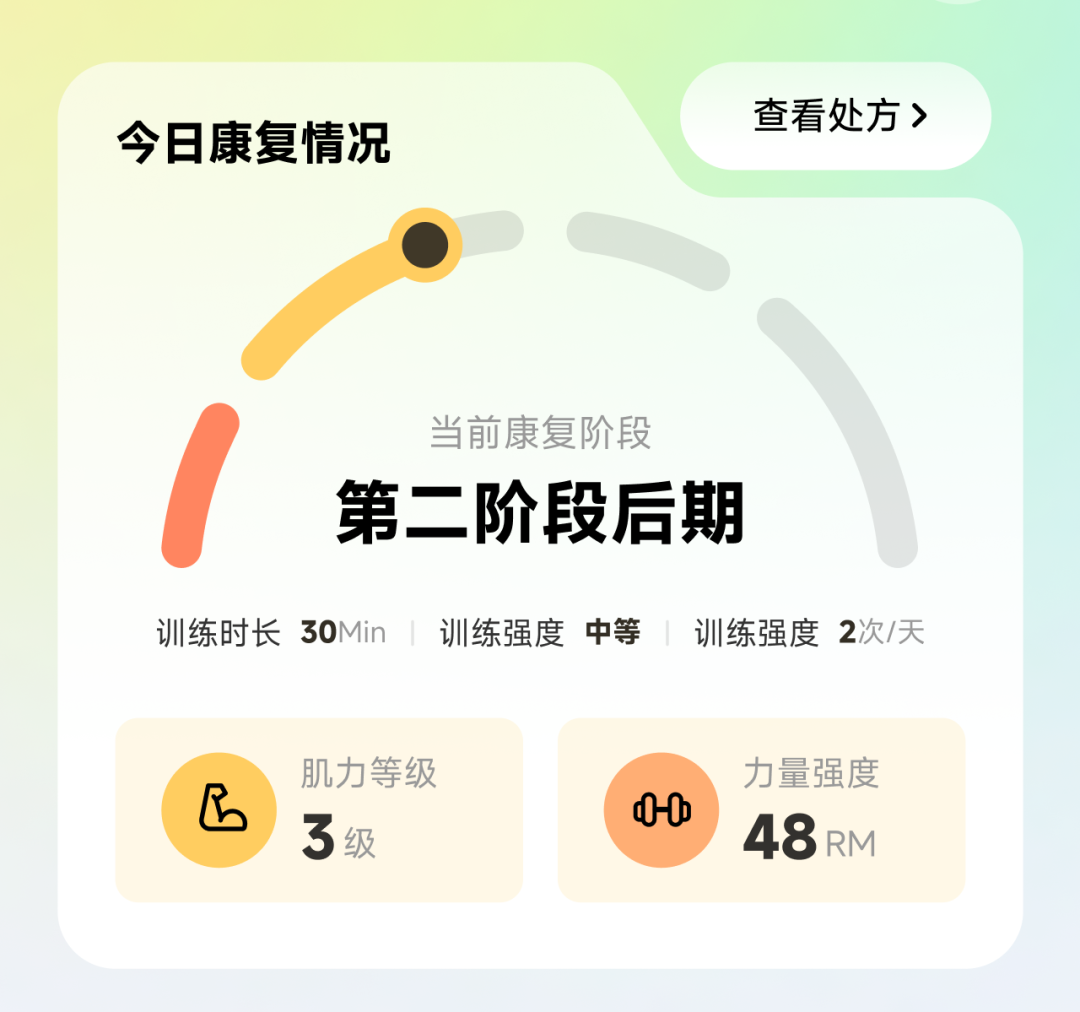 精致的卡片排版示例