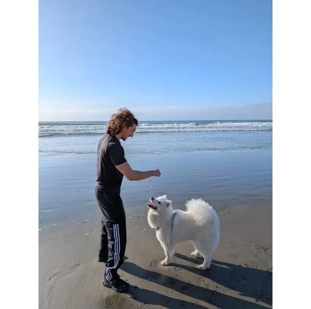 卷发男子在沙滩上伸手面向一只仰头注视他的白色蓬松犬，背景为蓝天海浪