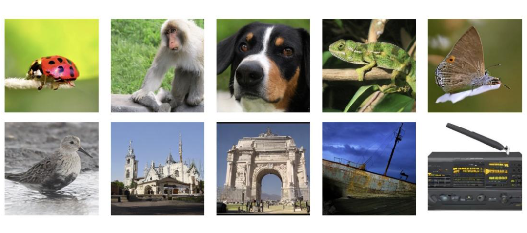 NaLaDiT生成图像示例