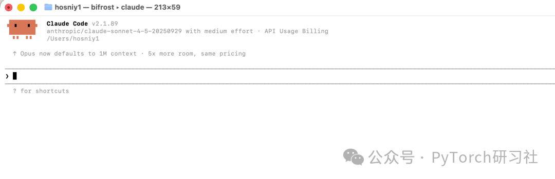 Claude Code 在 Bifrost CLI 中运行