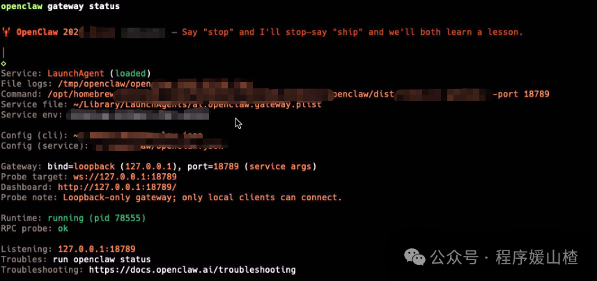检查 OpenClaw 网关状态的终端输出