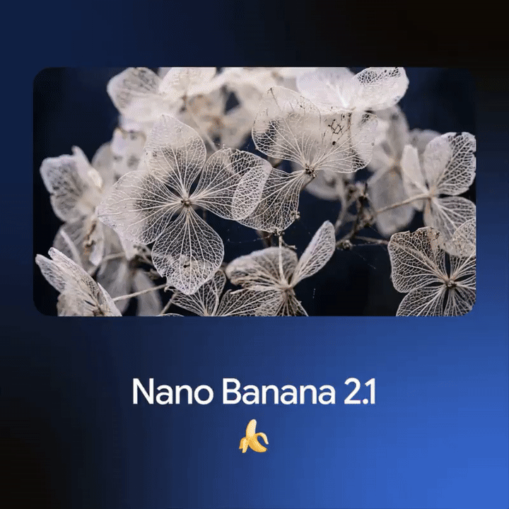 Nano Banana 2.1 生成效果演示