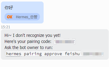 聊天界面截图，显示两个对话气泡。上方蓝色气泡为发送方，内有文字‘你好’及橙色按钮‘OK Hermes_总管’；下方灰色气泡为接收方，内容为英文消息：‘Hi~ I don't recognize you yet! Here's your pairing code: [模糊处理] Ask the bot owner to run: hermes pairing approve feishu [模糊处理]’，时间戳显示为15:21。