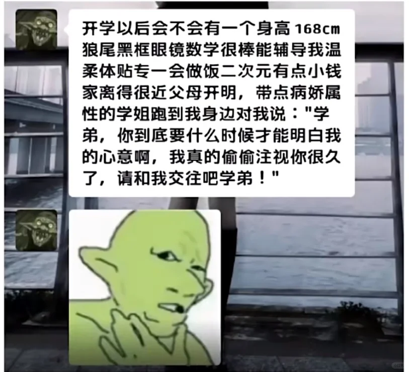 校园背景的调侃梗图,描述理想化学姐形象