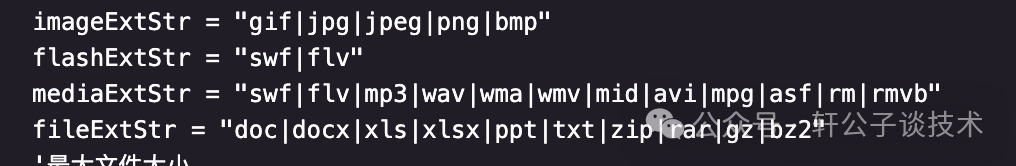 编辑器上传配置代码，列出允许的文件后缀