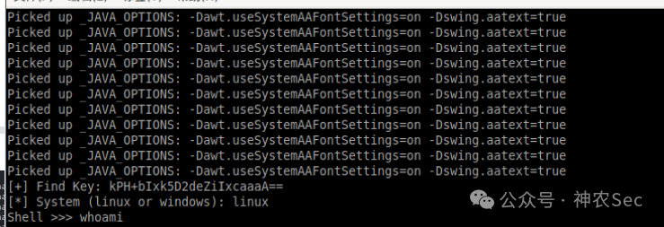 脚本成功获取密钥并进入命令交互界面