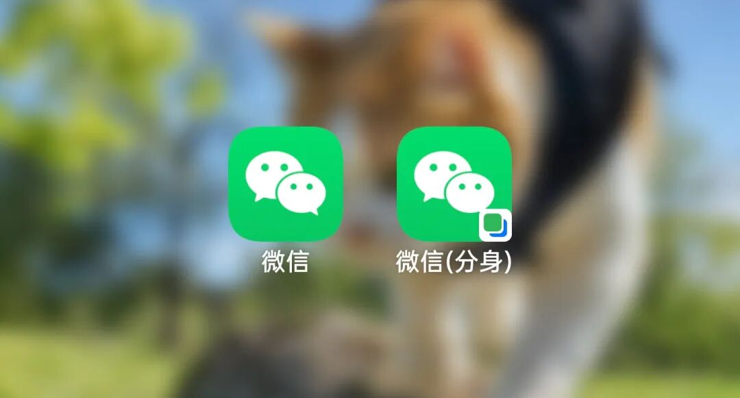 微信与微信分身应用图标对比