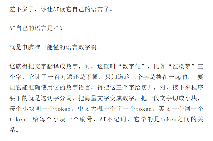 文本数字化与Token化说明图