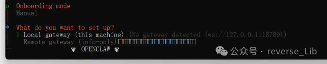 选择OpenClaw网关类型截图