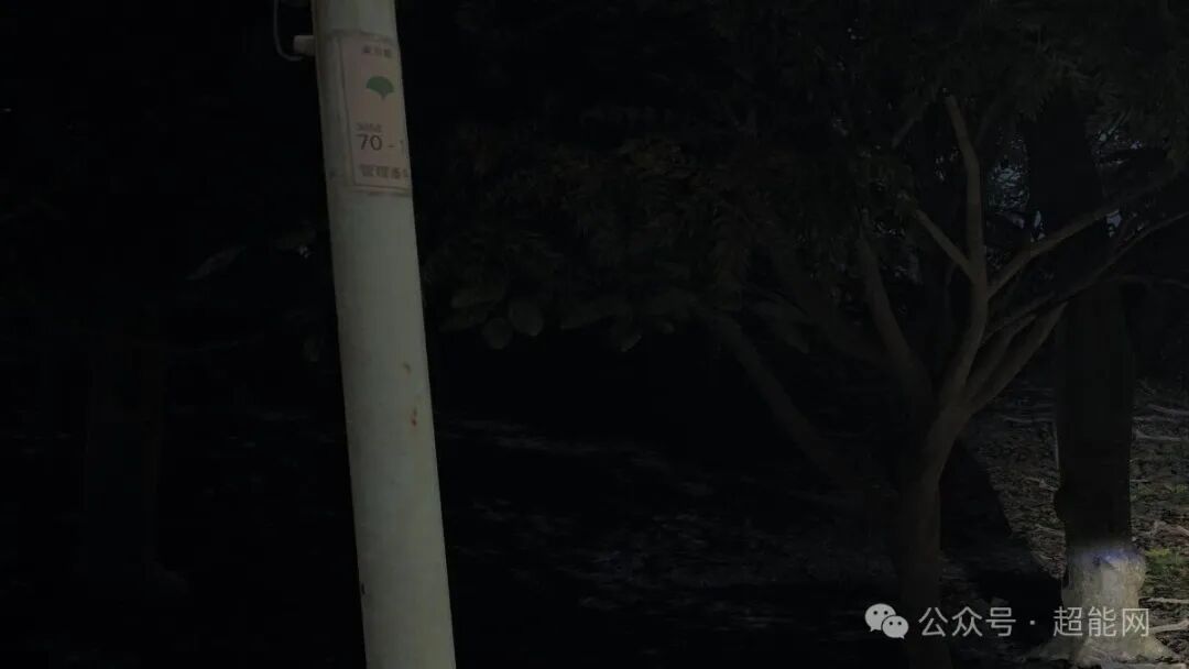 FSR AA模式下的电线杆场景截图