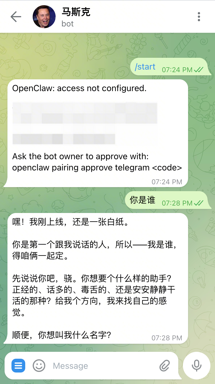 与OpenClaw机器人的首次对话，机器人进行自我介绍并询问用户偏好