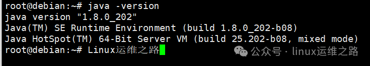 Linux终端执行java -version命令的输出结果