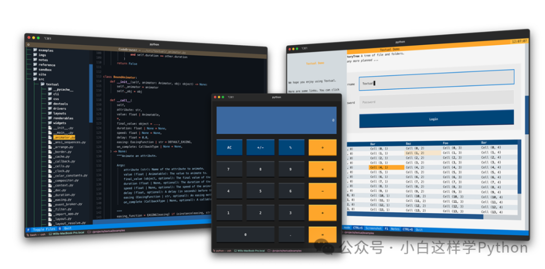 Python项目代码结构与Textual应用界面示例