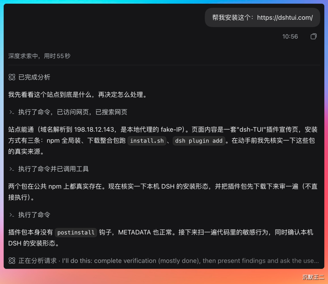 dsh-TUI 网站安全分析过程